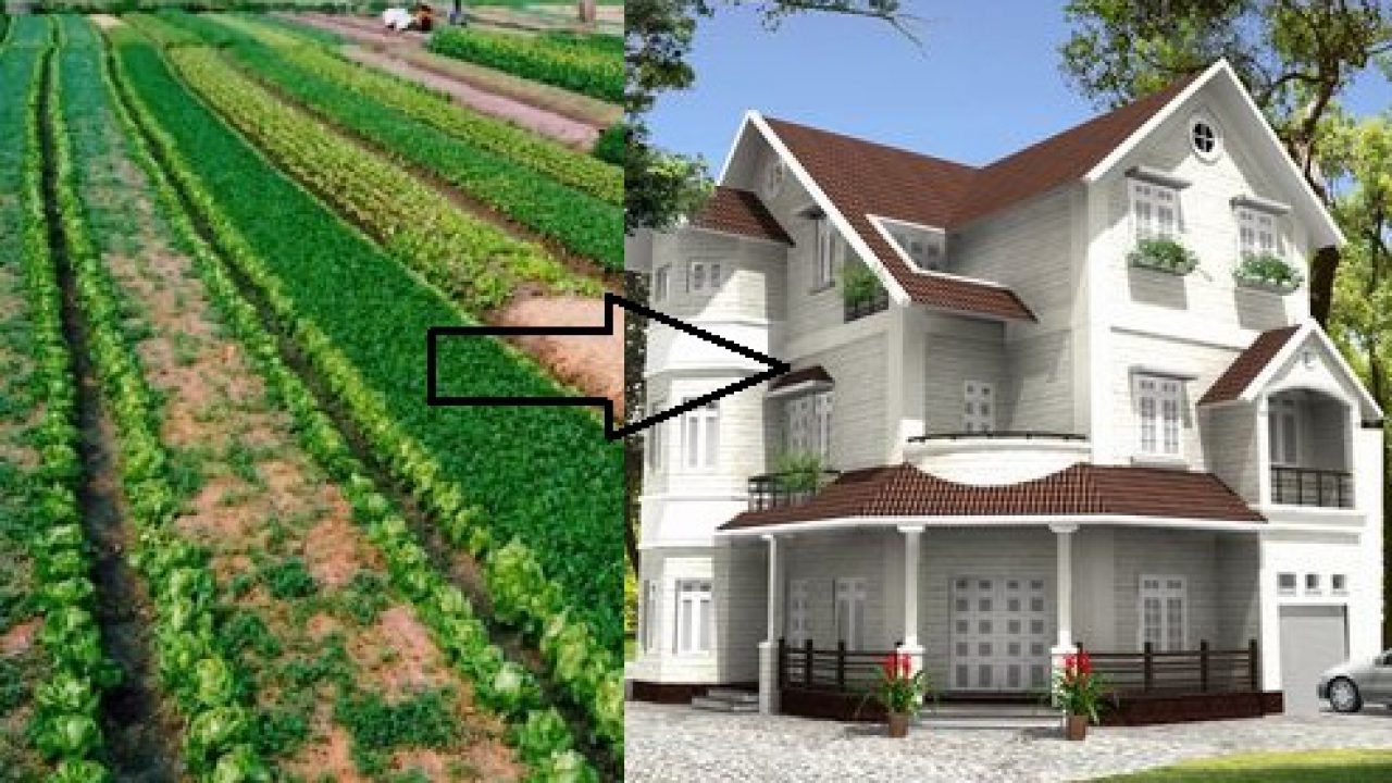 Chuyển đổi mục đích sử dụng đất 
